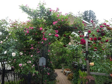 薔薇屋敷