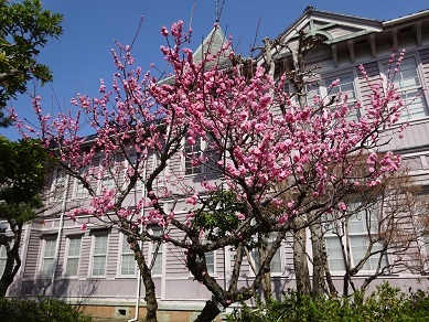 紫錦台中学校