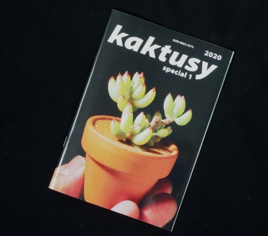 Kaktusy①2021