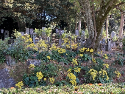 吉田松陰所縁の墓地