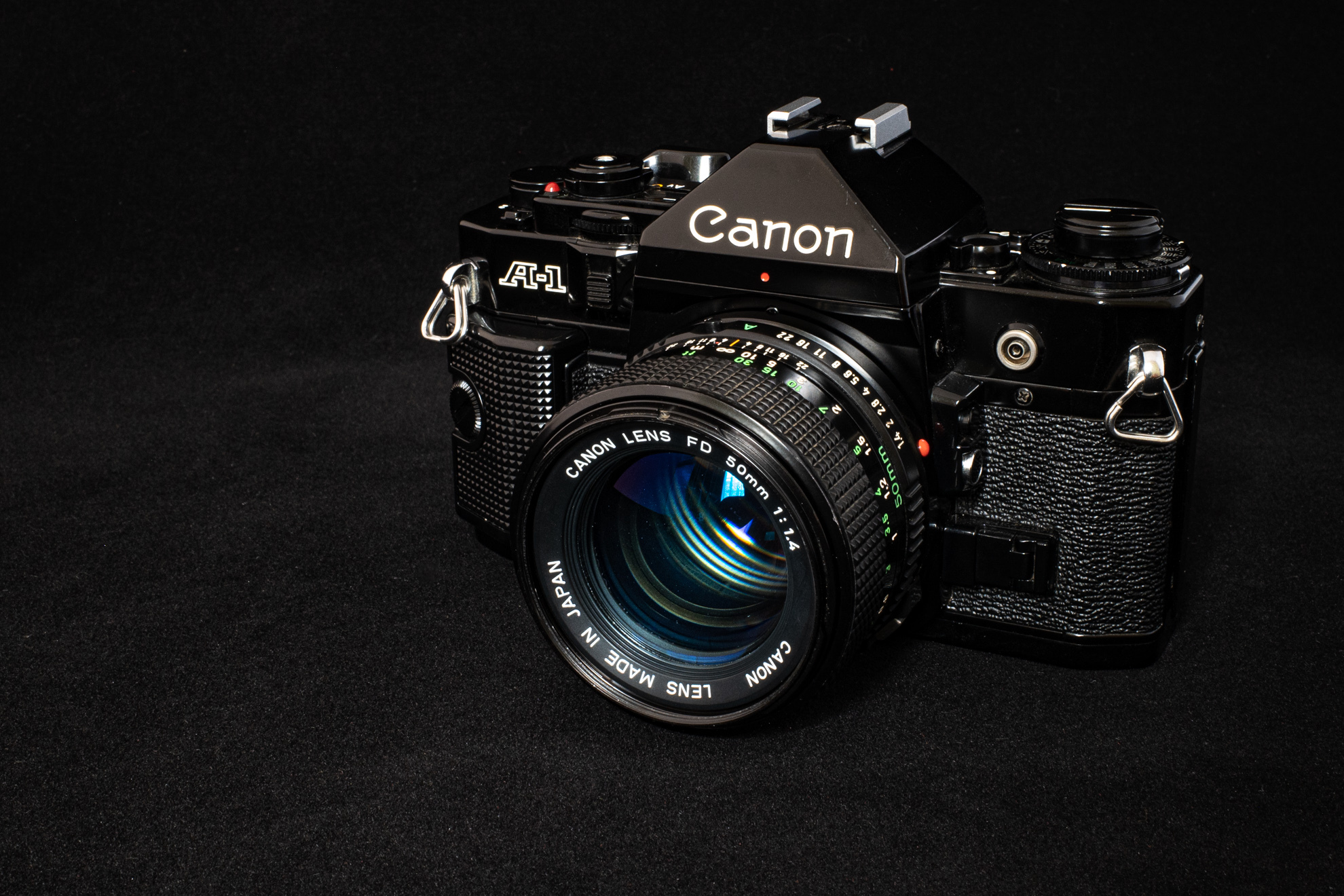 Canon A-1 ◇レビュー 実写編◇ - フィルムカメラ