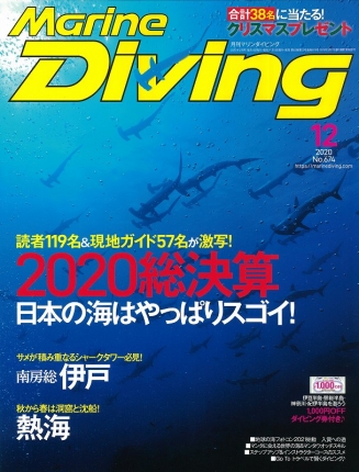 marin diving