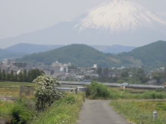 富士山２００５１５