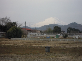 行がけ富士山２１０２１２
