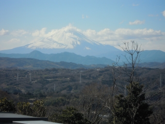 湘南平からの富士山２１０２１７