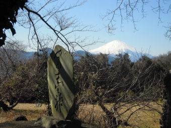 菜の花は無かったので富士山２１０２１９