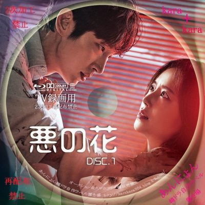 韓国ドラマ『悪の花』正規DVD-BOX1&2 イ・ジュンギ/ムン・チェウォン