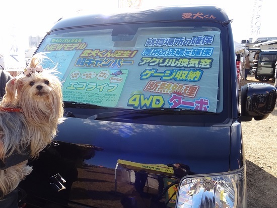 2020年12月06日ODAIBAキャンピングカーフェアin相模原⑧愛犬くん (3)blos
