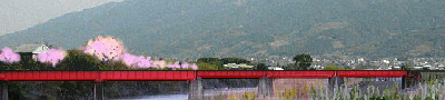 橋と桜と気動車