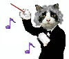 猫の指揮者