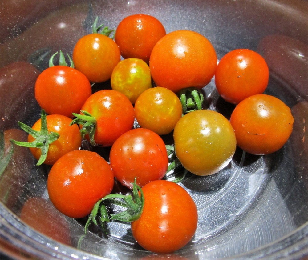 200620mini-tomato