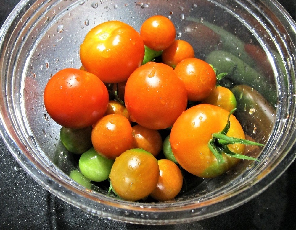 200706mini-tomato
