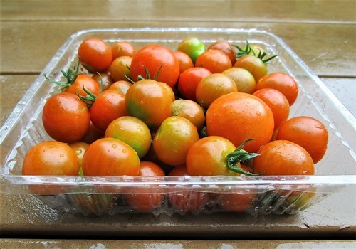 200710mini-tomato