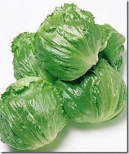 lettuce-1