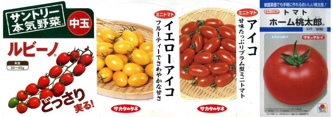 tomato-4nae