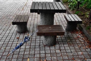 日比谷公園 Forgotten umbrella