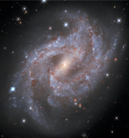 20201024 STScI_NGC2525_955x1024