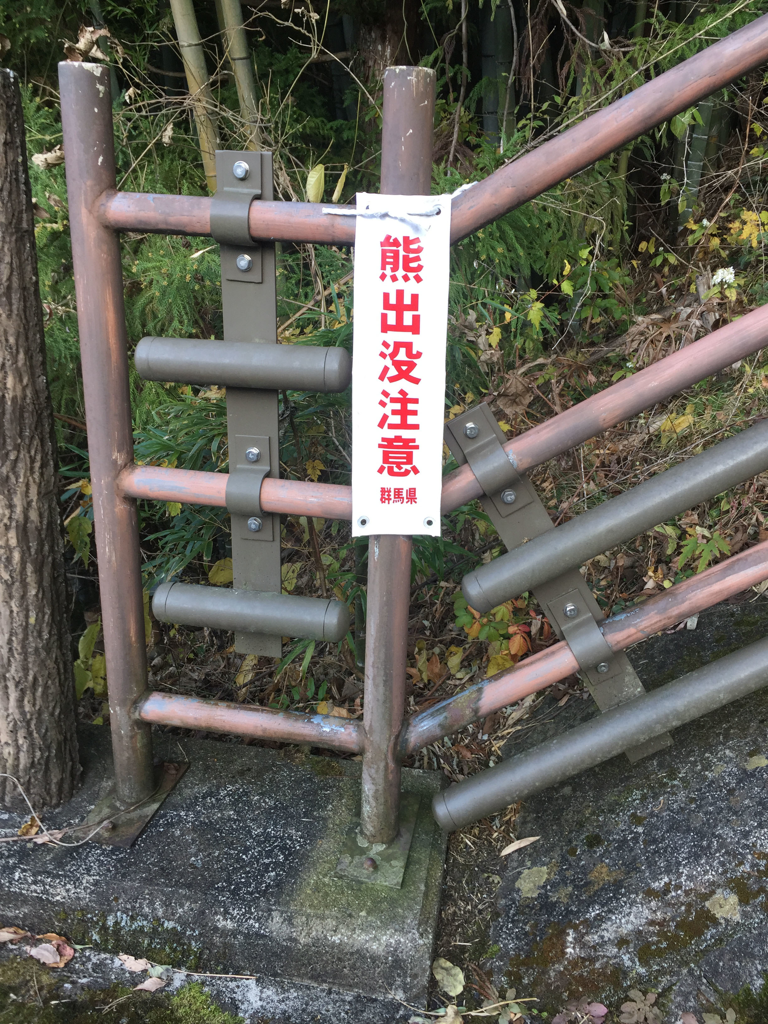 6439猿ヶ京温泉